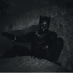 The Black Panther: Who is the King of Wakanda?
